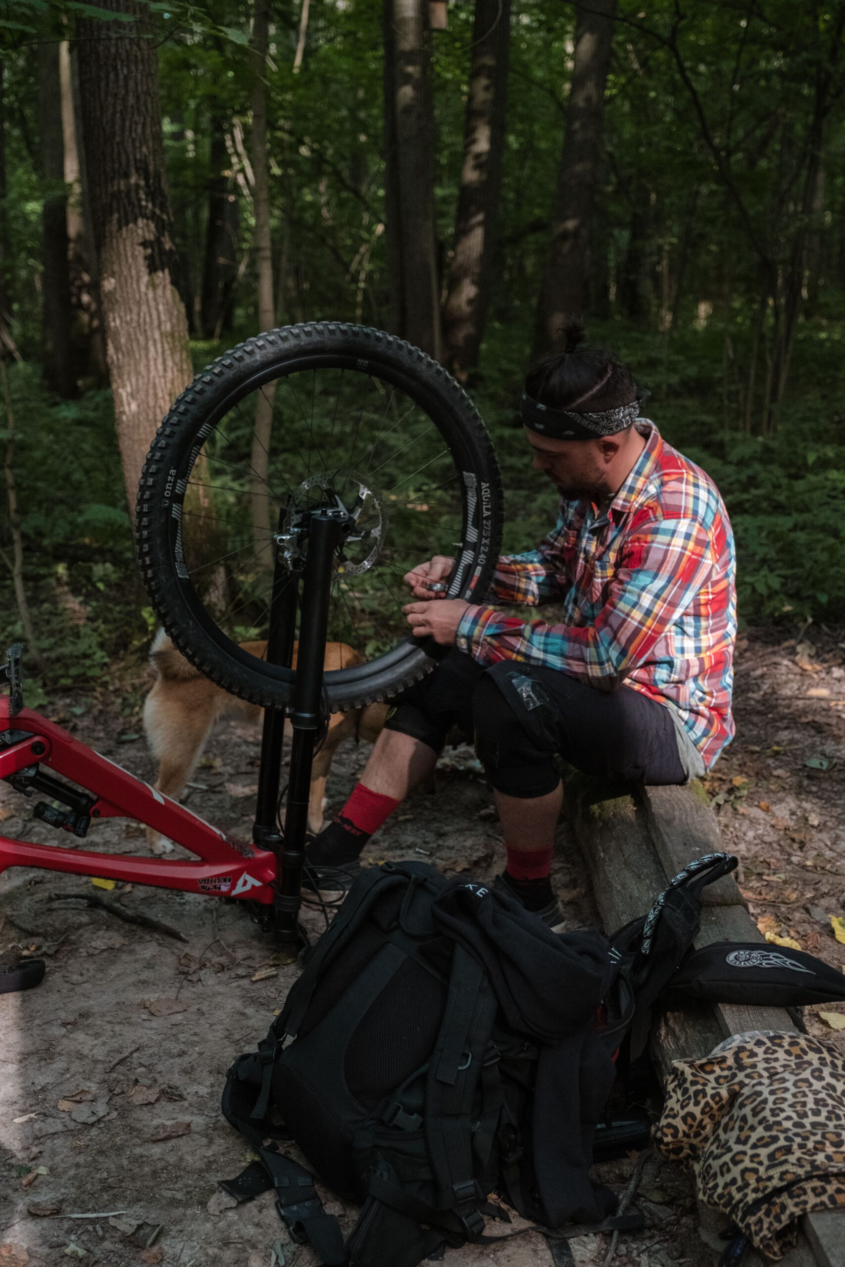 Beste MTB banden Top 5 van 2024 De Fietsers